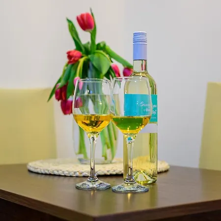 Apartman Easy Medulin